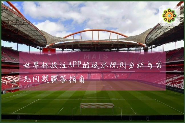 世界杯投注APP的返水规则分析与常见问题解答指南