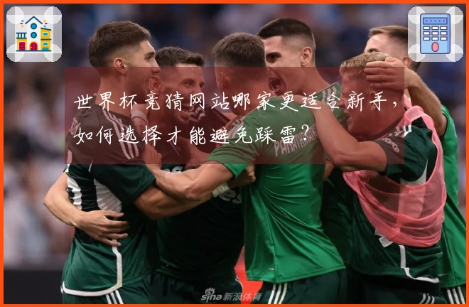 世界杯竞猜网站哪家更适合新手，如何选择才能避免踩雷？