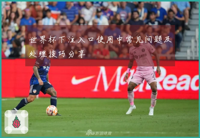世界杯下注入口使用中常见问题及处理技巧分享
