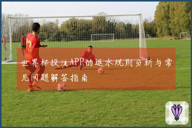 世界杯投注APP的返水规则分析与常见问题解答指南