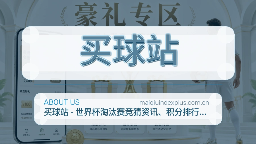 买球站观赛互动服务